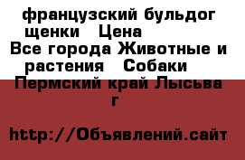 французский бульдог щенки › Цена ­ 50 000 - Все города Животные и растения » Собаки   . Пермский край,Лысьва г.